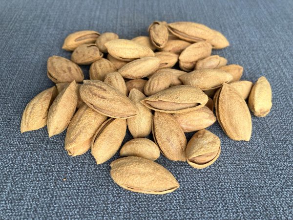 Roasted Salted Almonds In-shell - Healthy & Tasty Snack, Crunchy & Delicious Almonds