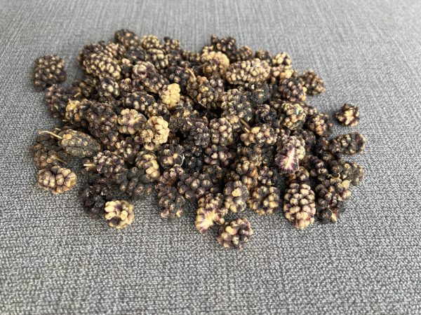 Black Mulberries Organic - Rich & Flavorful Mulberry Fruit, Nutritious Snack Wholesale