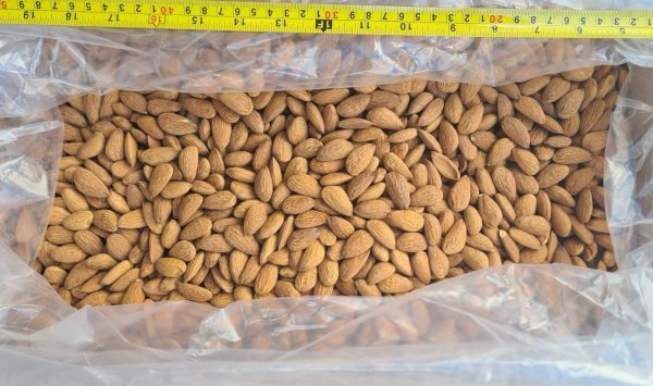 Organic Raw Almonds - Nutritious Snack & Baking Ingredient, Fresh & Healthy Almonds Wholesale