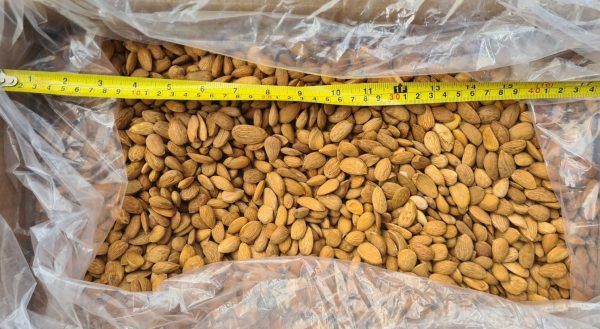 Premium Almonds Mamra - Large & Flavorful Aghan Nuts, High-Quality Almonds Wholesale