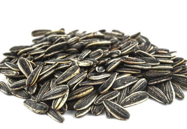 Crunchy & Nutritious Sunflower Seeds - Healthy Snack & Versatile Ingredient Wholesale